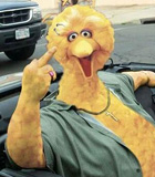 Aarkeybabble : Some birds are a bit bigger