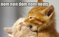 Aarkeybabble : Nom Nom Dom!
